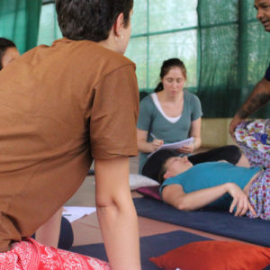 Learn Thai massage from the most respected instructors